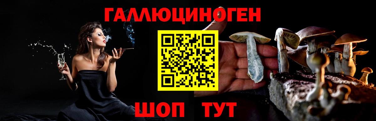 Сунжа  наркотики  Вход с VPN  Галлюциногенные грибы MAGIC MUSHROOMS  Псилоцибиновые грибы прущие грибы 
